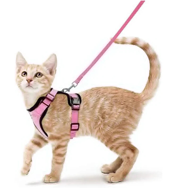 Coleira e Guia para Gatos
