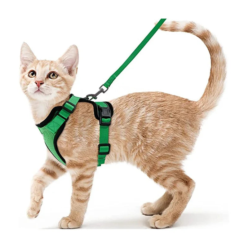 Coleira e Guia para Gatos