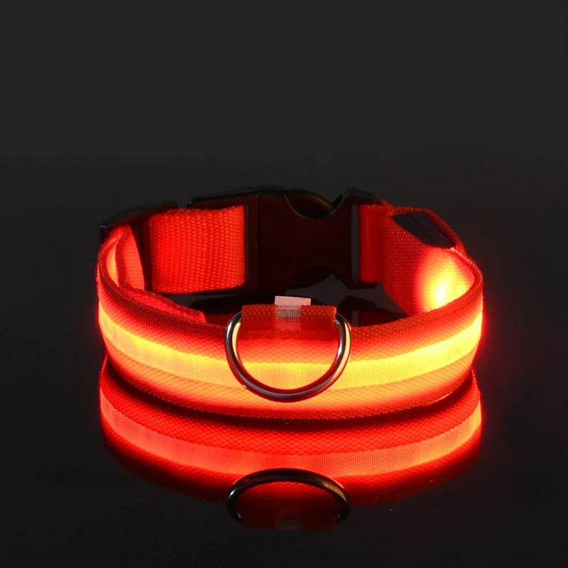 Coleira de Nylon com Led
