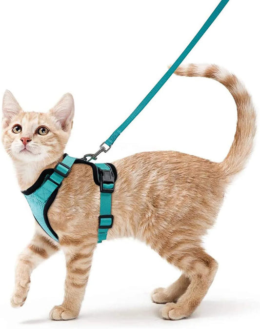 Coleira e Guia para Gatos