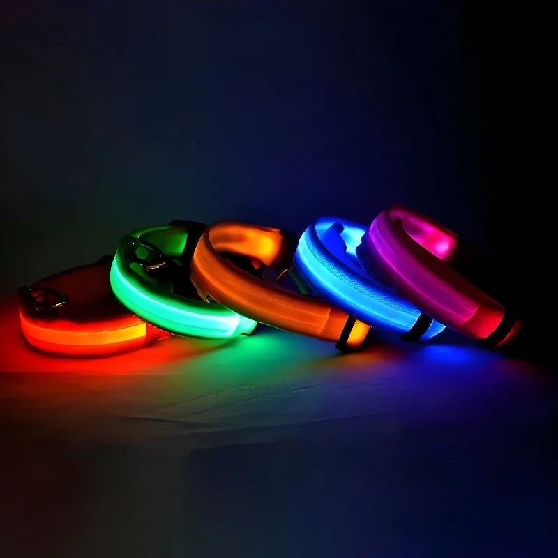 Coleira de Nylon com Led
