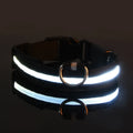 Coleira de Nylon com Led