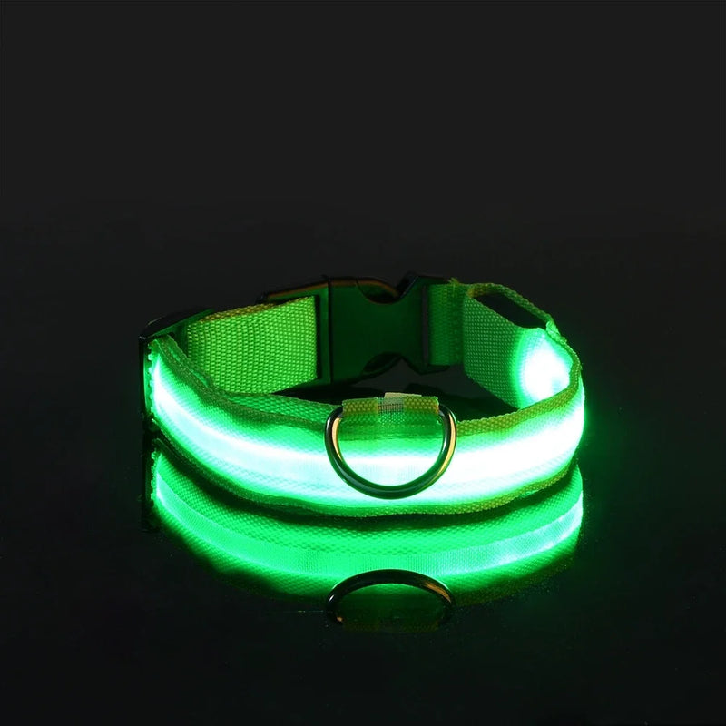 Coleira de Nylon com Led