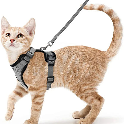 Coleira e Guia para Gatos