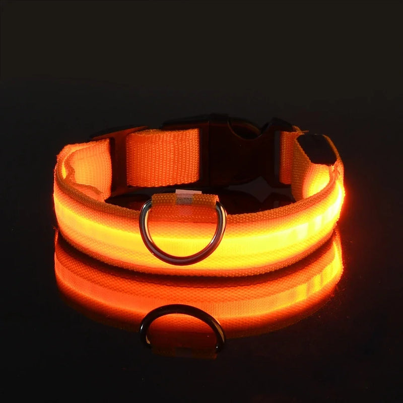 Coleira de Nylon com Led
