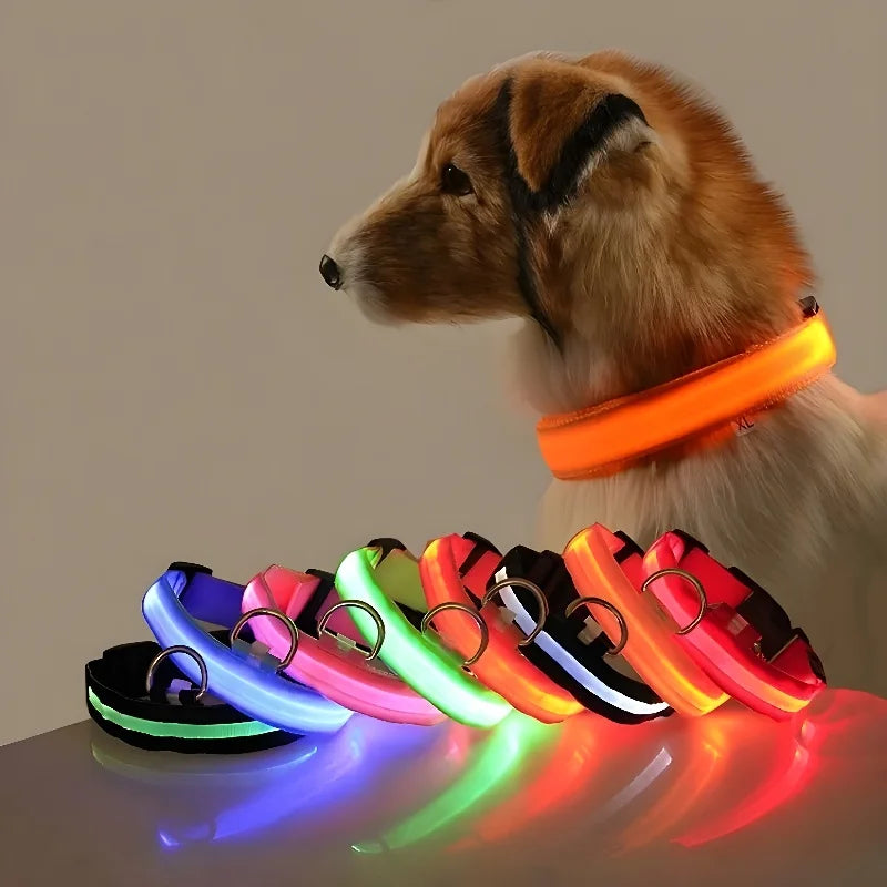 Coleira de Nylon com Led