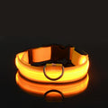 Coleira de Nylon com Led