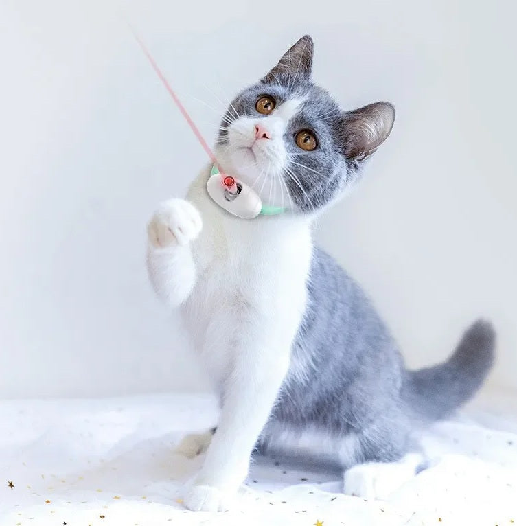 Coleira Com Laser Para Gatos