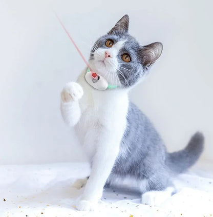 Coleira Com Laser Para Gatos